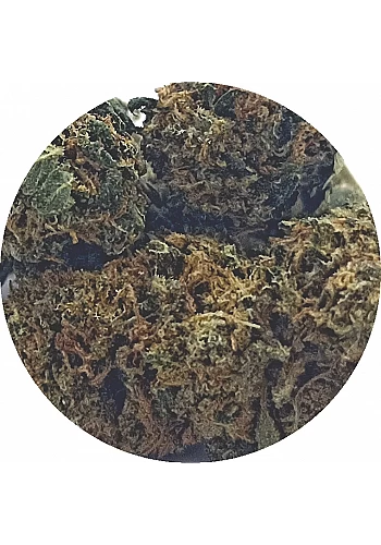 Tante Suzanne - L'ananas (Pineapple Kush) - Master produit